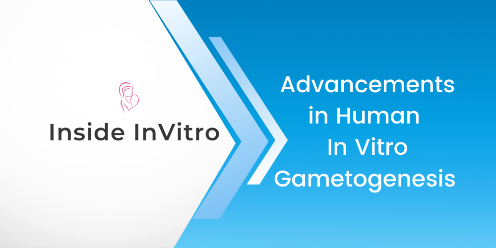 Advancements in Human In Vitro Gametogenesis Offer New Hope for Infertility Treatment
