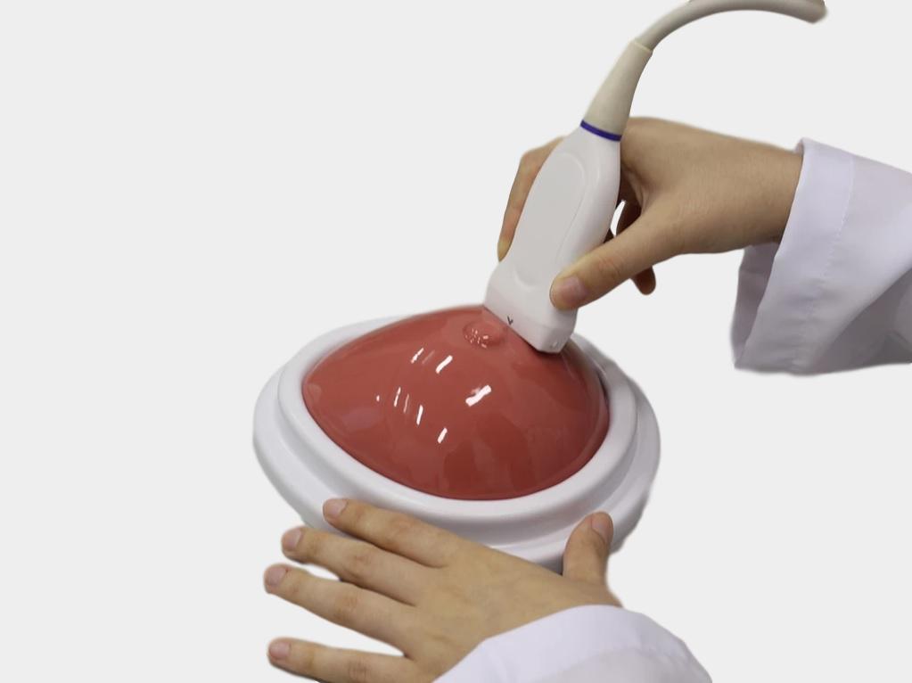 Breast Biopsy Training Phantom