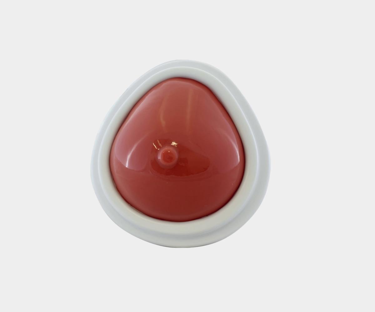 Breast Biopsy Training Phantom with Lumps