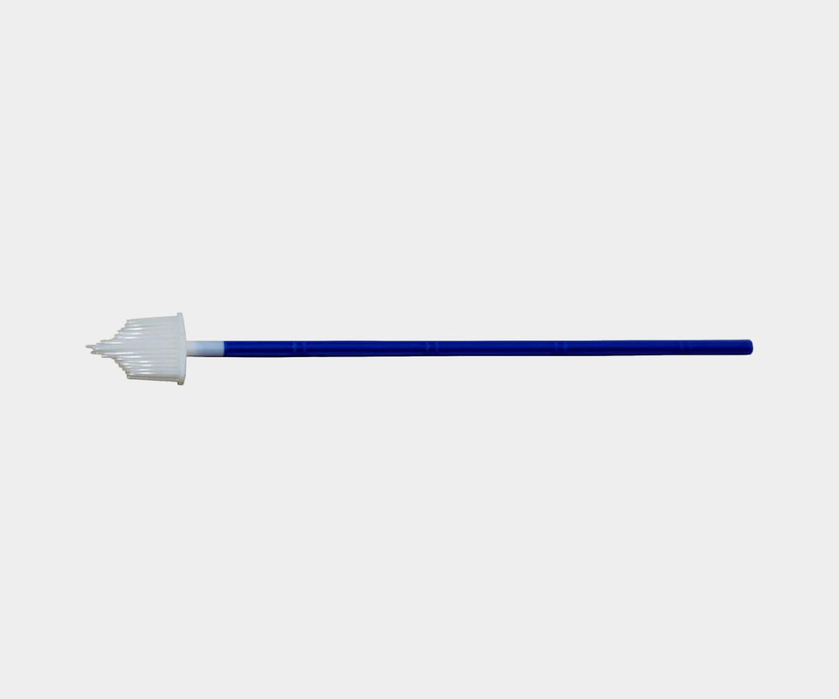 Pap Cell for Pap Smear