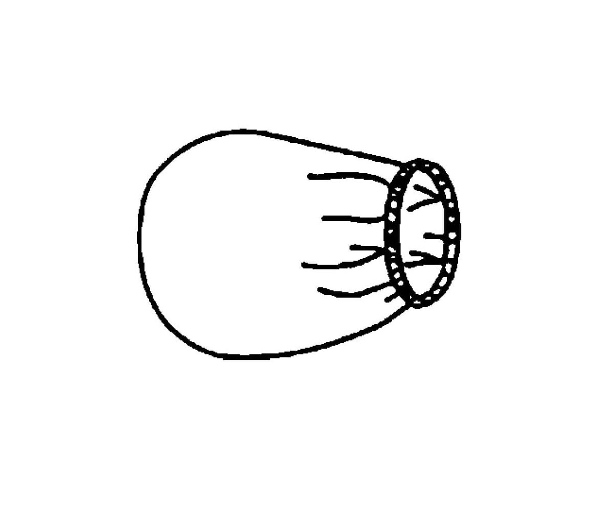 Sterile Circular Dome Bag