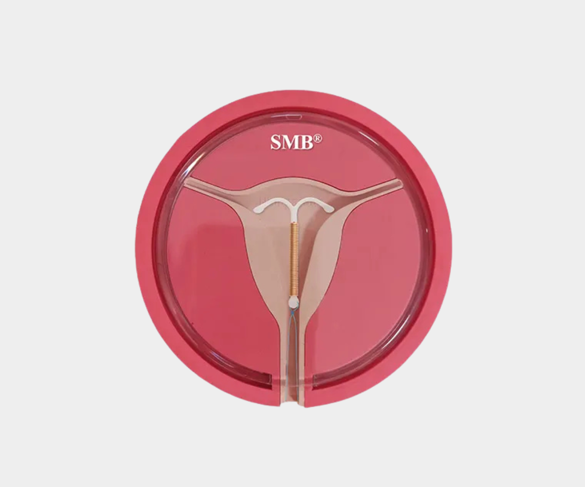 Dual Flat Uterus Model