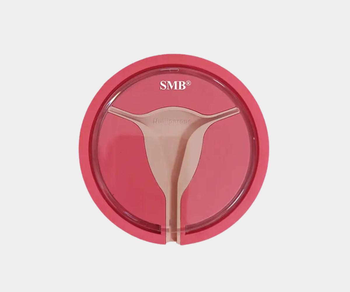 Dual Flat Uterus Model